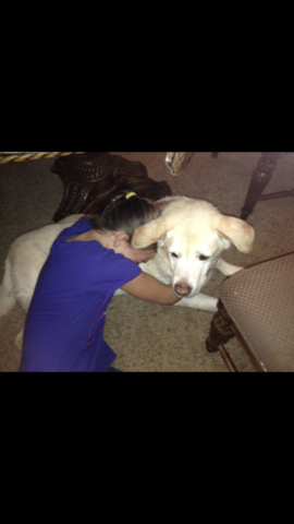 My dog Eddie passed away