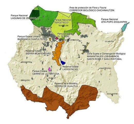 Ley del Equilibrio Ecológico y la Protección al Ambiente del Estado de Morelos.