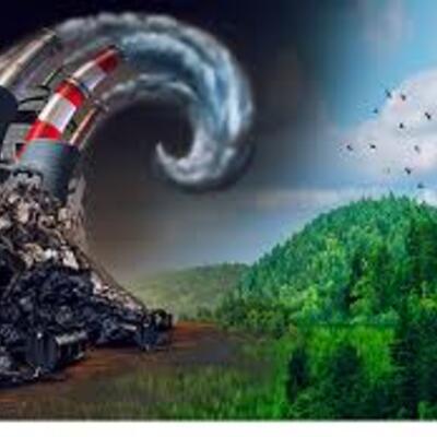 Timeline: Antecedentes del Derecho Amiental