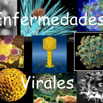 Timeline: enfermedades virales