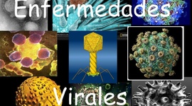 Timeline: enfermedades virales