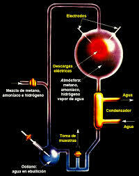 Experimento, la chispa de la vida
