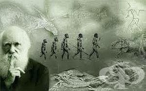 Charles Darwin, El origen de las especies