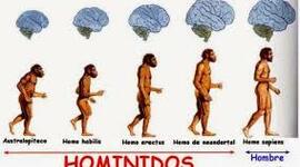Timeline: L'evolució dels homínids