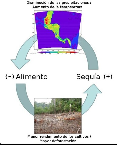 Caída de la Civilización Maya