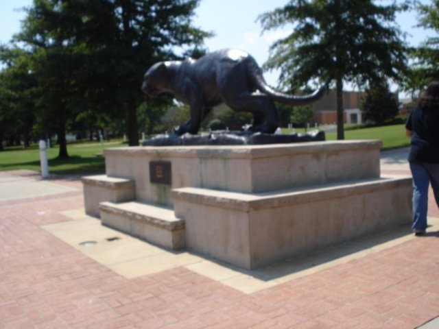 I became a South Alabama Jaguar