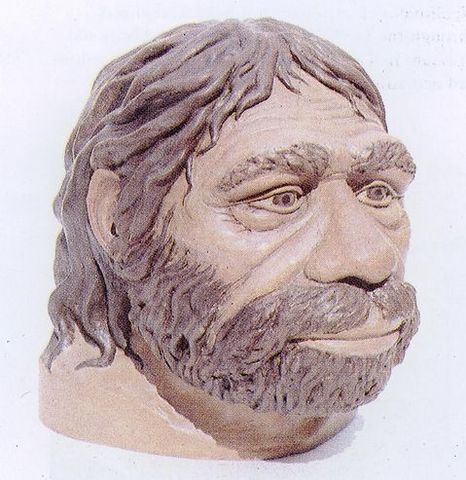 Homo Sapiens Sapiens