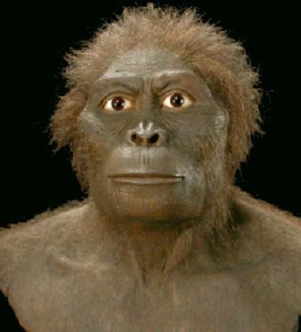 Australopithecus bahrelghazali