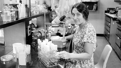 Lynn Margullis y la teoria de la simbiogenesis seriada