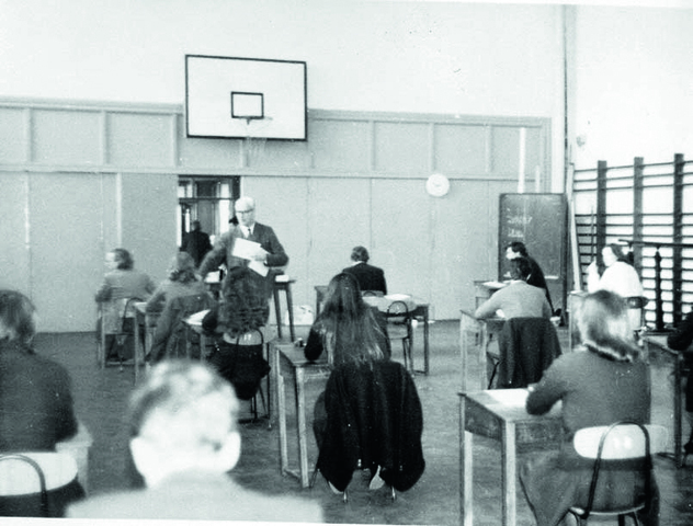 Constitución del IB