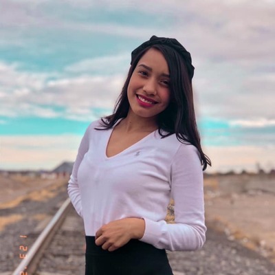 Timeline: Hanna Reyna Marin Vargas Grupo 250