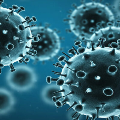 Timeline: Evolución de la Virología