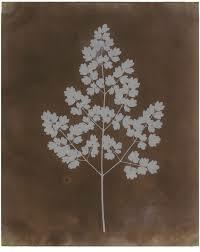 1839 William Henry Fox Talbot