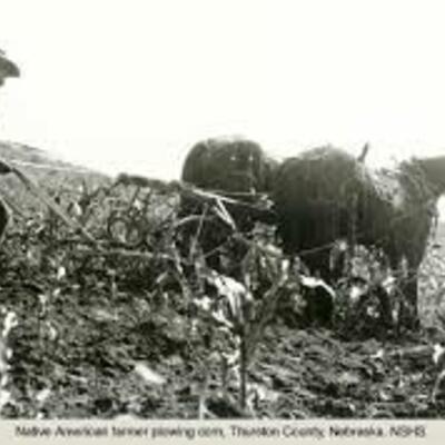 Timeline: stock prices rally sharply