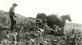 Timeline: stock prices rally sharply