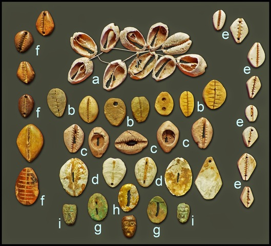 conchas usadas como monedas