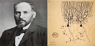 Santiago Ramón y Cajal