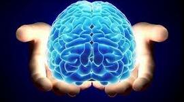 Timeline: LA NEUROPSICOLOGÍA EN EL TIEMPO.