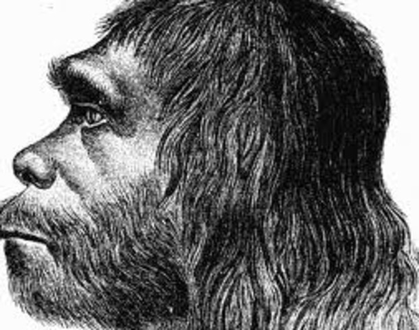 Homo Sapiens Neanderthalensis( Wize Man)