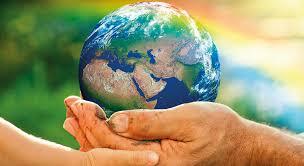 DECLARACION DE LOS PRINCIPIOS