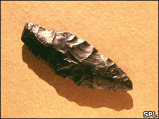 Homo Sapiens Neanderthalensis