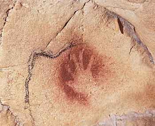 Homo Sapiens sapiens