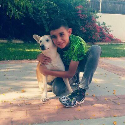 Timeline: Brayan De Jesus Ogaz Serrano Gp:200