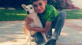 Timeline: Brayan De Jesus Ogaz Serrano Gp:200