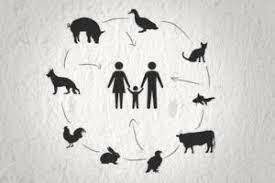 Estudio de las Zoonosis