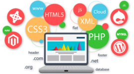 Timeline: Evolución y Arquitectura de Aplicaciones Web