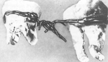 HALLAZGOS CURIOSOS EN EGIPTO