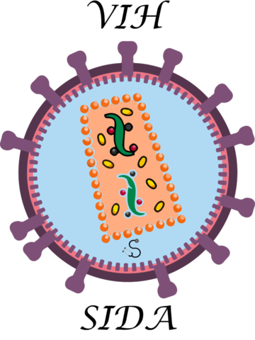 Virus de Inmunodeficiencia Adquirida (VIH)