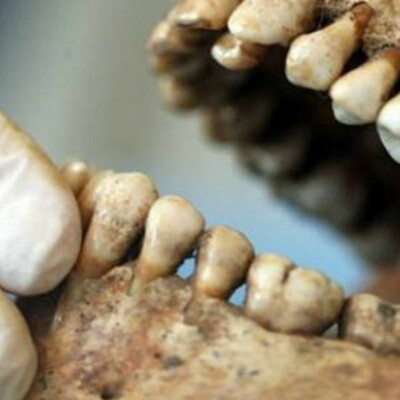 Timeline: HISTORIA DE LA ODONTOLOGIA