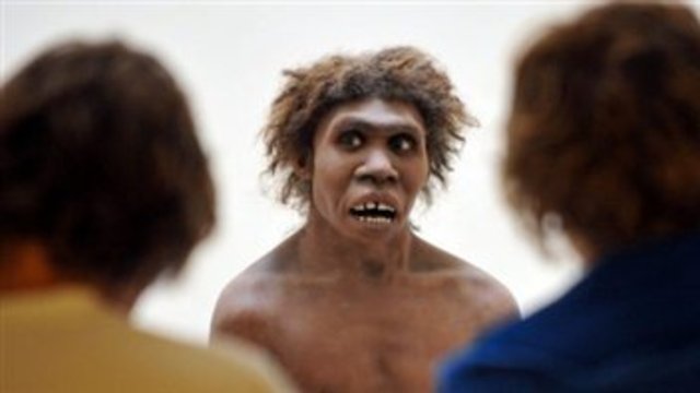 Homo sapiens Neandertaliens