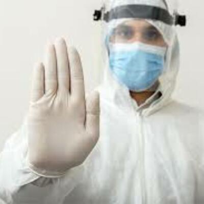 Timeline: Desarrollo de la Bioseguridad