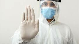 Timeline: Desarrollo de la Bioseguridad