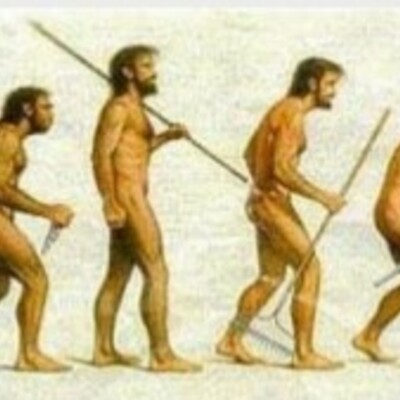 Timeline: Antecedentes históricos de la administración