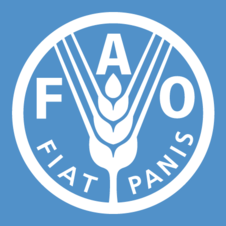 Creación de la FAO y la ONU