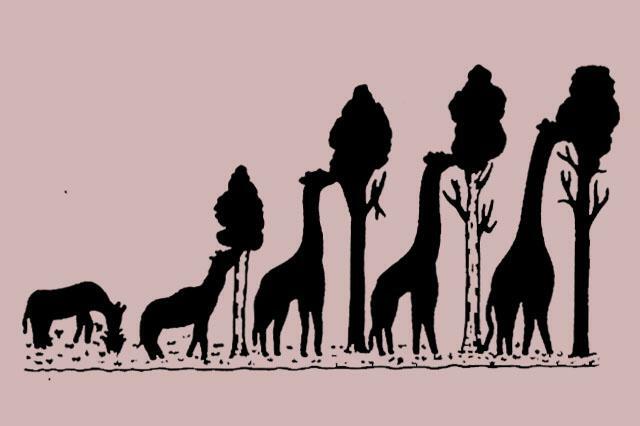 Jean Lamark, Una de las Primeras teoria de la evolucion Biologica