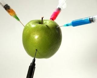 Adopción final del Protocolo de Cartagena