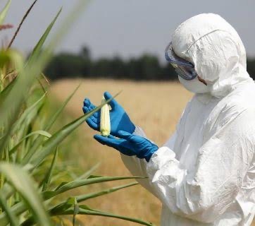 Entra en vigor el Protocolo de Cartagena