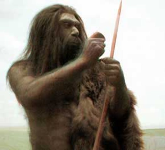 Homo Habilis (handy man)