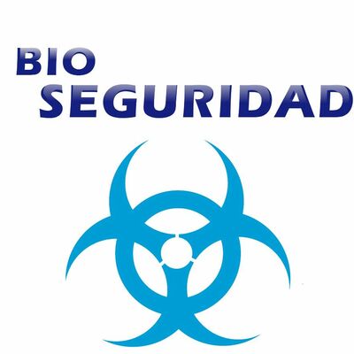 Timeline: Lesly Berumen * Noemí Hernández * Zennya Cruz * Leonardo Contreras