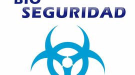 Timeline: Lesly Berumen * Noemí Hernández * Zennya Cruz * Leonardo Contreras