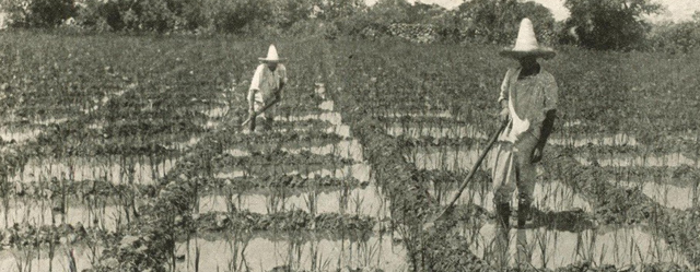 Legislación Agraria