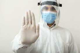 Integrantes del Equipo