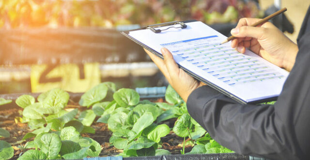 Nueva asociasion y circuitos