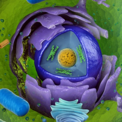 Timeline: virologia Paola Urbina 5 año B