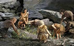 Homo neanderthalensis