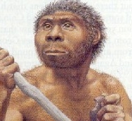 Homo Erectus